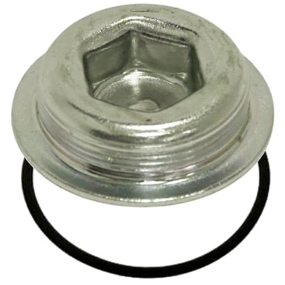 Selo De Rosca Do Bloco Motor Accelo 715 C Original A1179970230